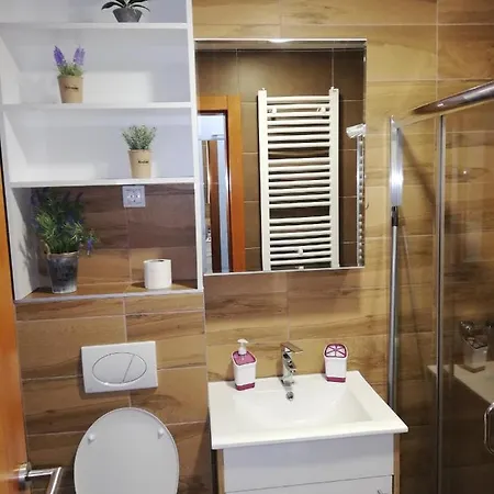 Milosevic Apartment Zlatibor